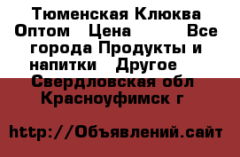 Тюменская Клюква Оптом › Цена ­ 200 - Все города Продукты и напитки » Другое   . Свердловская обл.,Красноуфимск г.